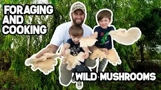 Foraging and Cooking WILD Oyster Mushrooms | Cream of Mushroom Soup Recipe