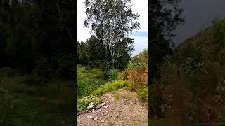 Там же)
