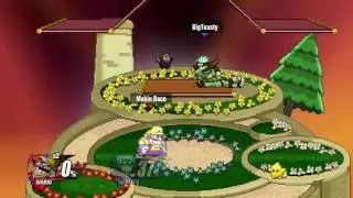 Wario Fights the Anime
