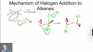 Addition of Halogens - Organic Chemistry One (1) Lecture Series Video 45