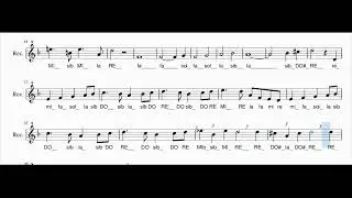 "Il lago dei cigni" - Per flauto dolce