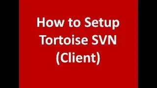 How to Set up Tortoise Client