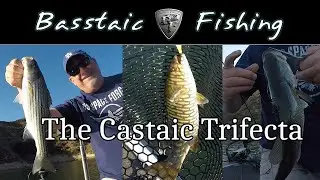 The Castaic Lake Trifecta: Largemouth, Smallmouth, and Striped Bass
