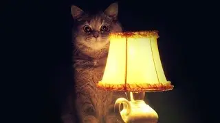 Шок! Не смотри это видео в темноте! ксюша что-то съела...