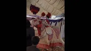 Zuljinah Nawab Badshah Faisalabad 