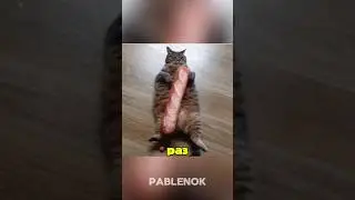Сколько раз можно сложить бумагу? Сразу к делу! 