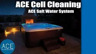 ACE Saltwater System Tutorial - ACE Saltwater System Cell Cleaning