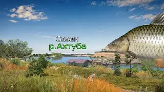 Русская Рыбалка 4 ► Сазан - р.Ахтуба
