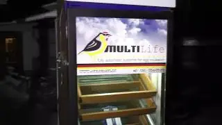 Тест. Инкубатор 