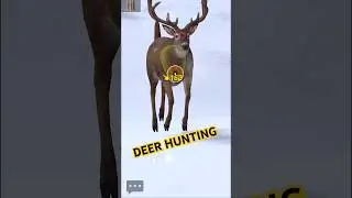 Hunted Deer for Food In Snow #deerhunting #deerhunter #hunts