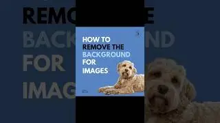 Canva Hack: Background remover