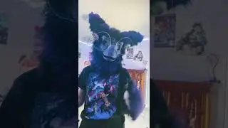 Micro-celebrity #furry #furries #fursuit #antizoo #dinomask #therian #quadrobist #therianthrophy