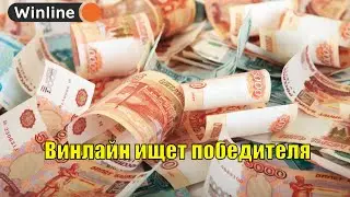Букмекерская контора Winline разыскивает победителя