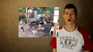 КОШАЧИЙ ОСТРОВ