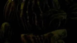 фантом Чика
