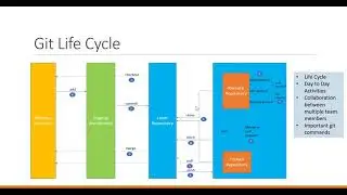 Git Life Cycle(part1)