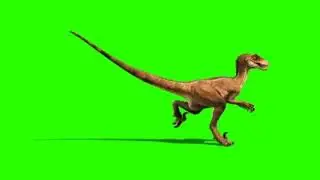3d dinosaur green screen effect for chromakey