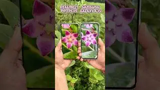 Samsung A35 vs Realme 11 Pro Plus Camera Test #samsung #realme #shorts