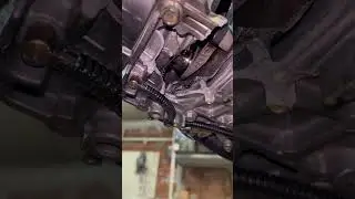 Винтик вышел погулять😂‼️