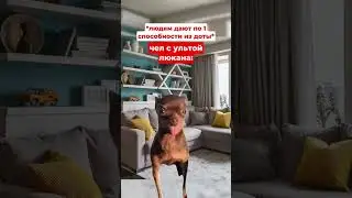 #дота2