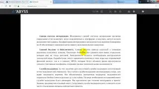 The Abyss обзор Whitepaper