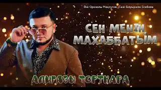 Әлиғазы Төртқара- Сен менің махаббатым (премьера песни) 2024