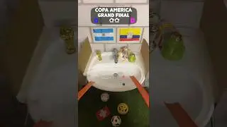 🇦🇷 vs 🇨🇴 - who will win?🤷🏻‍♂️ #copa #copa2024 #copaamerica #em #euro2024withshorts #orakel
