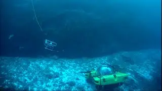 ROV SUPPORT for the NEKTON Mission: First Descent Seychelles (March-April 2019) 