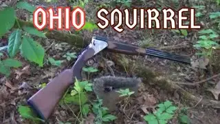 Ohio Squirrel Hunting