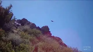Shotkam Compilation - AZ Quail Slam Jan 2023