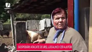 Gospodării atacate de urși, localnicii cer ajutor