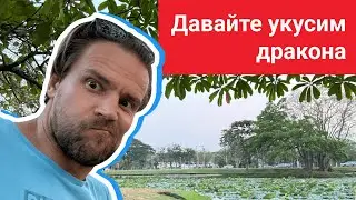 Давайте укусим дракона