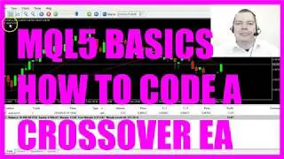 LEARN MQL5 TUTORIAL BASICS - 20 HOW TO CODE A SIMPLE CROSSOVER EXPERT ADVISOR