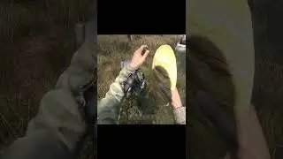 Dayz Stalker RP Perimeter Братишка я тебе покушать принес #shorts
