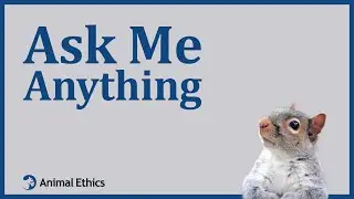 International Animal Rights Day: Ask me anything session