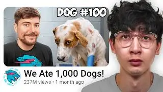 I Made Offensive MrBeast Videos