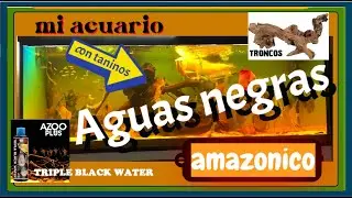 acuario aguas negras   taninos   Amazonico  AZOO Plus triple black water