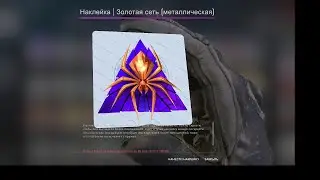 Операция в CS:GO "Расколотая Сеть". ЧТО же выпало с этой операции? Выпал САМЫЙ ДОРОГОЙ СТИКЕР?