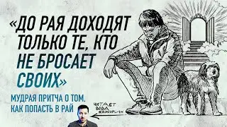 Притча про рай и собаку: «До рая доходят только те, кто не бросает своих»