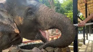 Kwan Samui is enjoy drinking water!