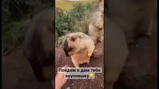 #юмор #видео #шутка #приятное #перекус #друзья #смешно #shorts