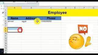Creating Easy Data Entry Forms in Excel automatically