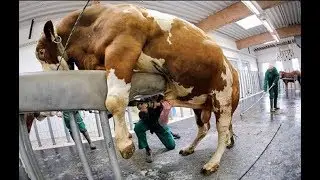 Des appareils et des inventions incroyables pour les agriculteurs