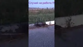 Моя работа .