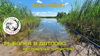 Рыбалка в Дятлово - Республика Татарстан! Река Мёша! (Fishing in Dyatlov - Republic of Tatarstan!)