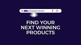 Find Winning Products with ZIK for Shopify!