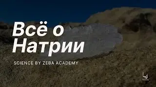 Всё о Натрии | Science by Zeba Academy