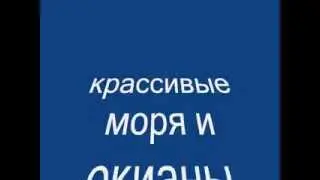 Володин Антон, 5б класс Океаны