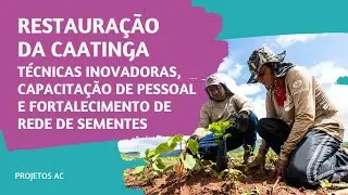 Restauração da Caatinga
