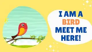 I AM A BIRD MEET ME HERE || Know More About Birds ||